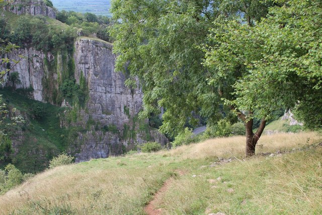 File:Footpath, Cheddar Gorge - geograph.org.uk - 3635207.jpg