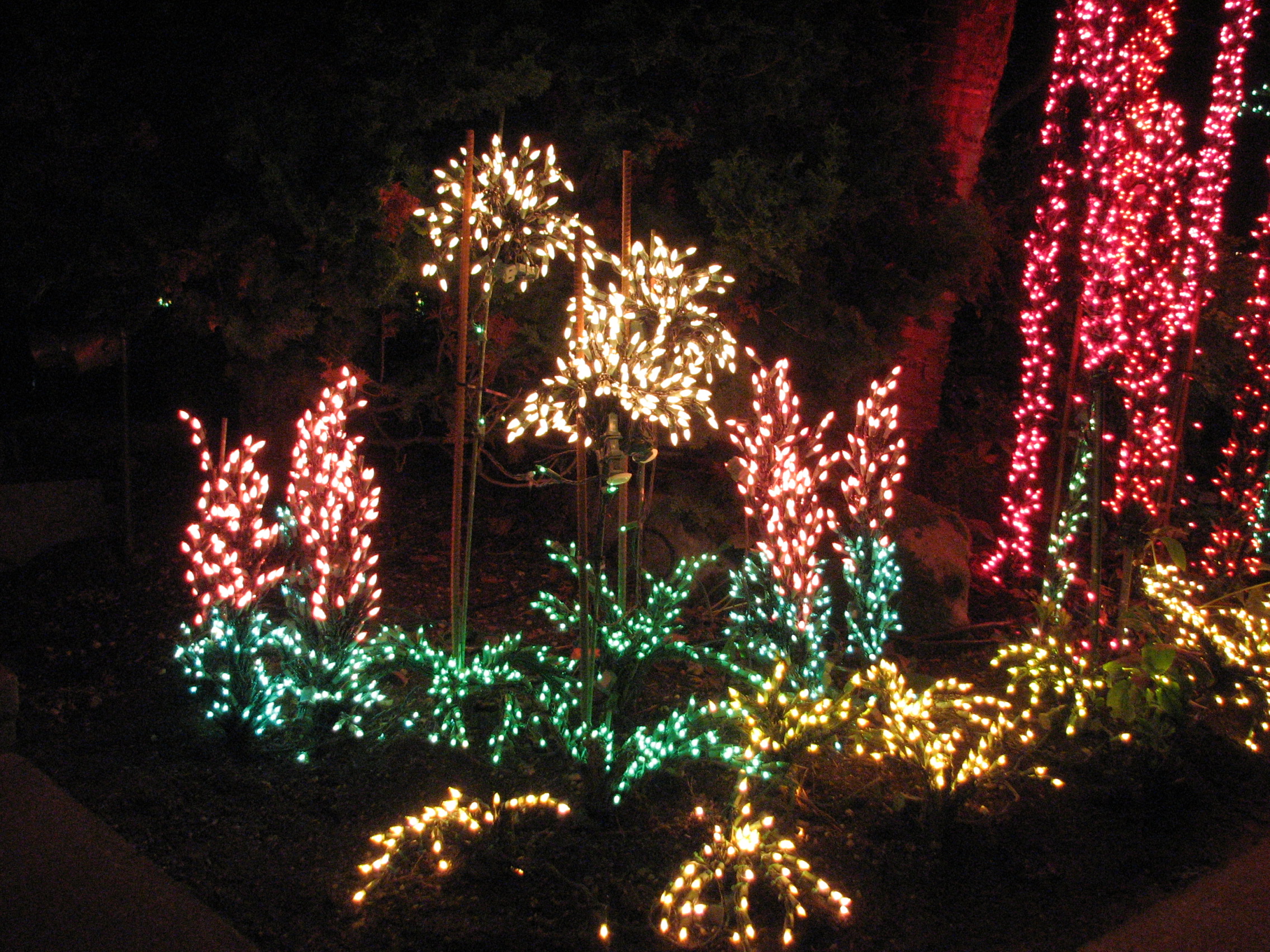 File Garden D Lights 2008 At The Bellevue Botanical Garden Img062