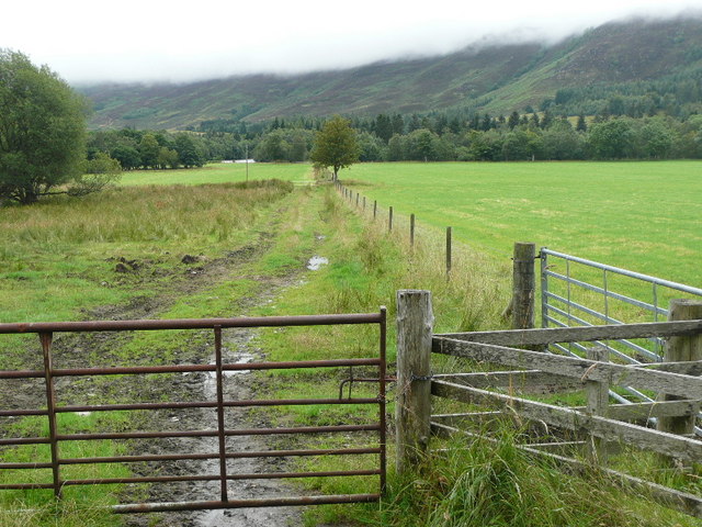 File:Gate and fence - geograph.org.uk - 1436543.jpg