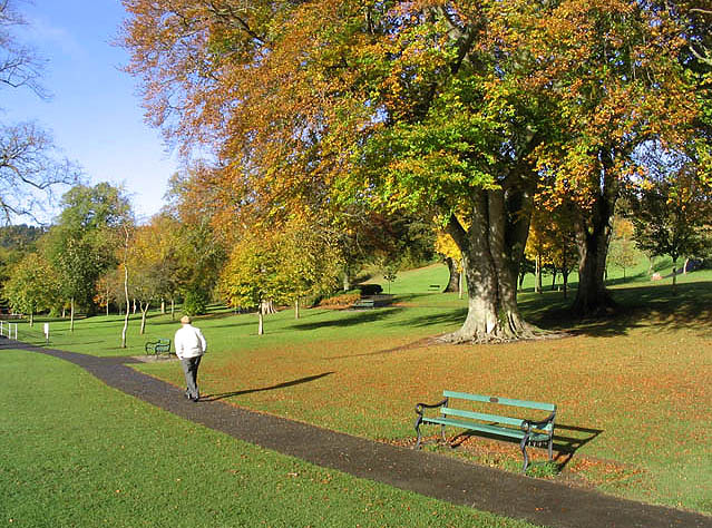 Hay Lodge Park, Peebles - geograph.org.uk - 598134