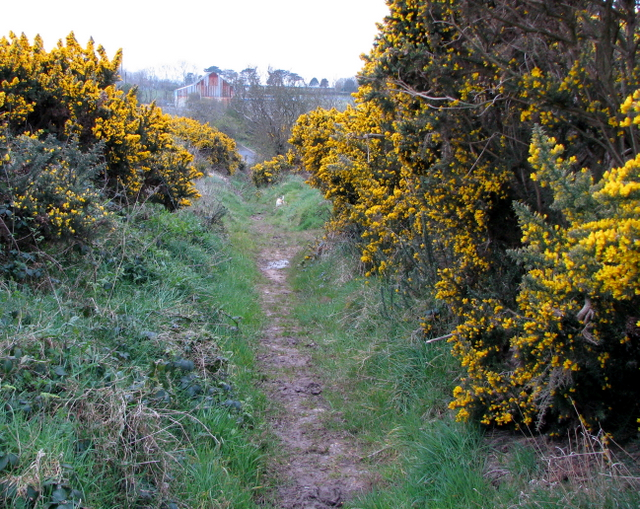 File:Lane near Bangor (2) - geograph.org.uk - 773388.jpg