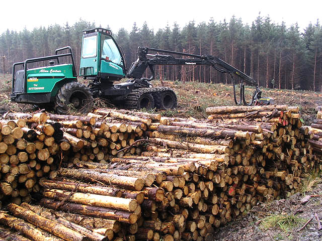 Better Logging Could Slow Global Warming