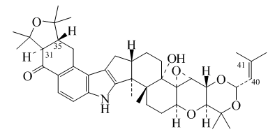 Loliterm B