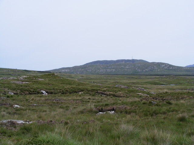 File:Looking over the bog - geograph.org.uk - 836971.jpg