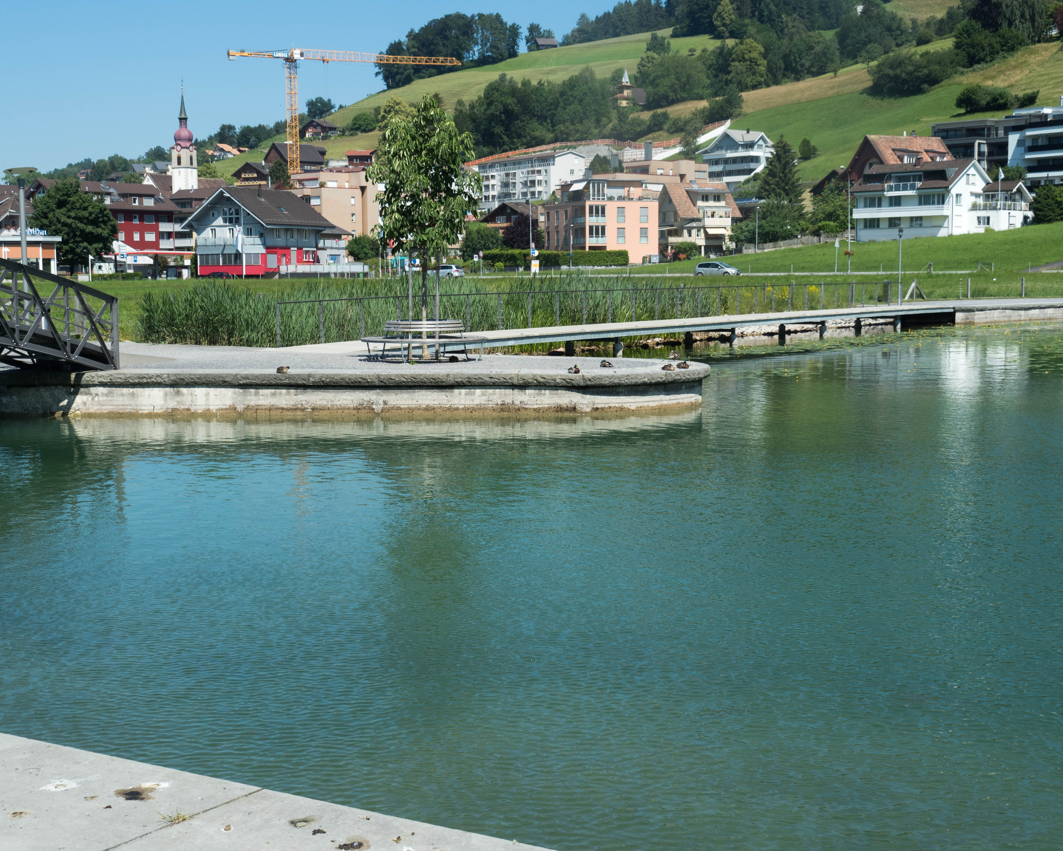 Lorze Ausfluss Unterägeri 20180620-jag9889.jpg. 