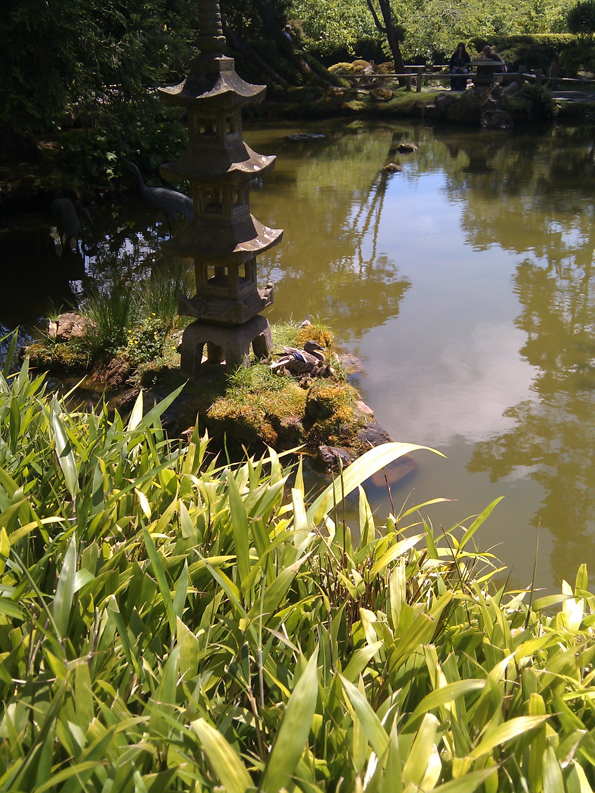 File:Estanque en un jardín Japonés.jpg - Wikimedia Commons