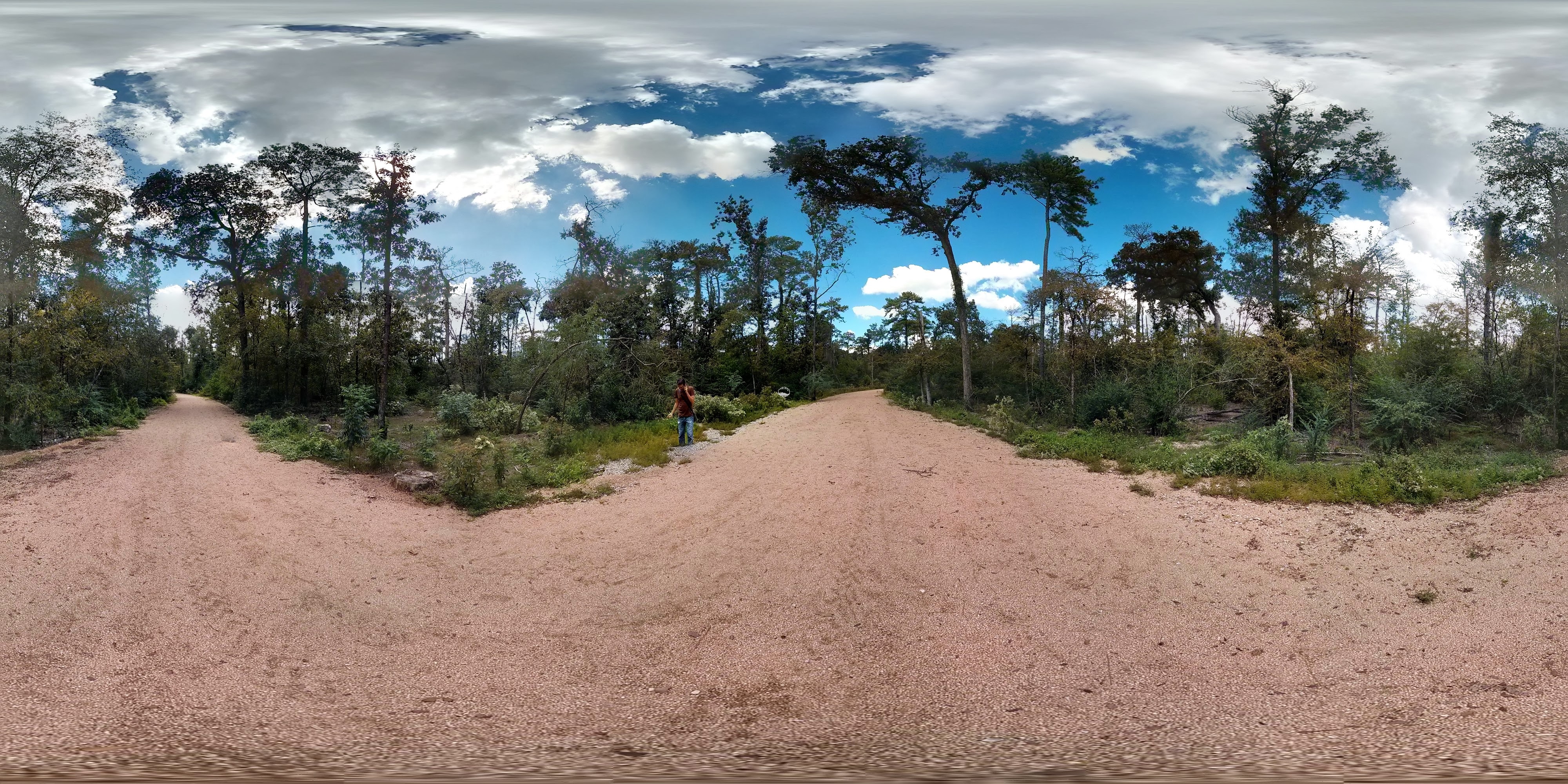 Memorial Park, Houston, TX - panoramio.jpg