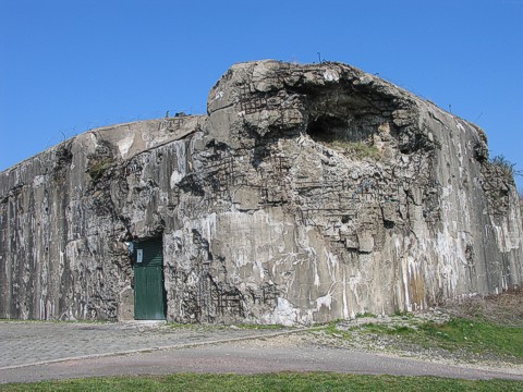 Fort d