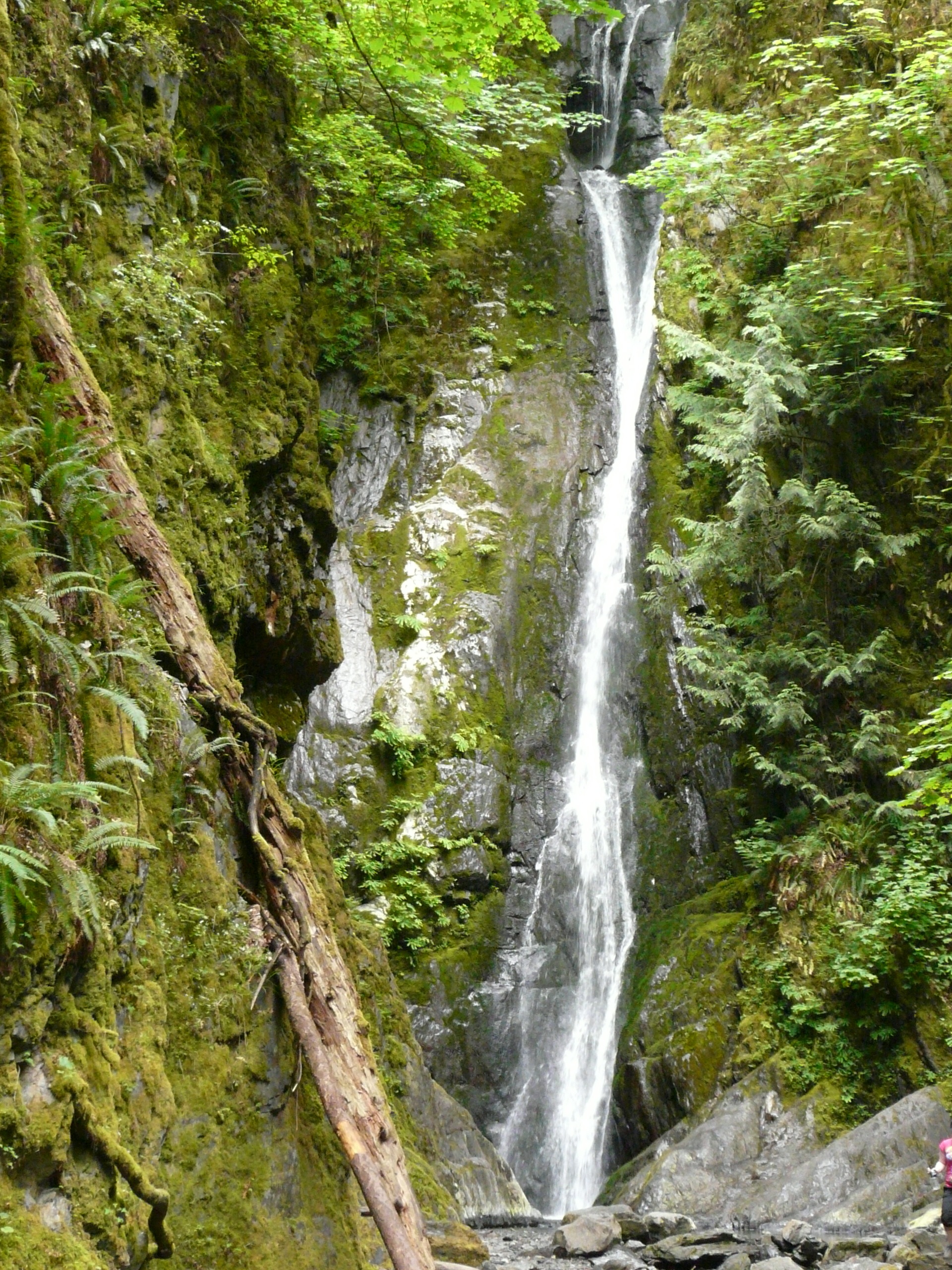 Photo of Goldstream Provincial Park