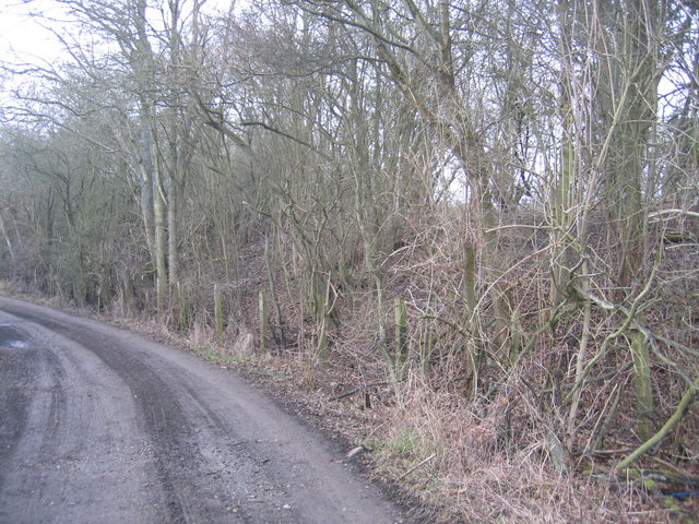 File:Old railway fencing - geograph.org.uk - 118505.jpg