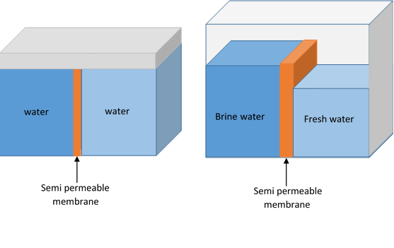 File:Osmosis.png