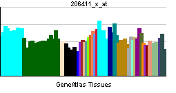 File:PBB GE ABL2 206411 s at tn.png