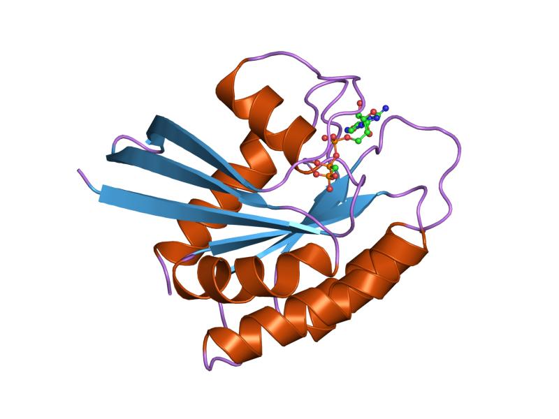 File:PDB 1jai EBI.jpg