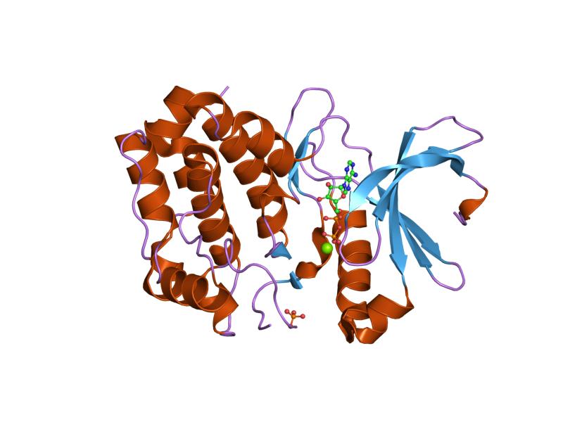 File:PDB 1mq4 EBI.jpg