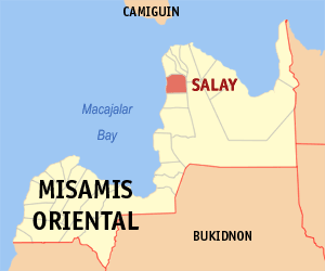 File:Ph locator misamis oriental salay.png