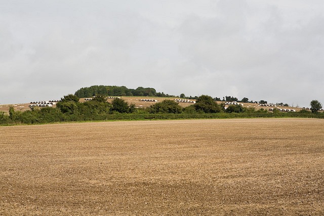 File:Pig farming on hill north of Shawlands Farm - geograph.org.uk - 960357.jpg