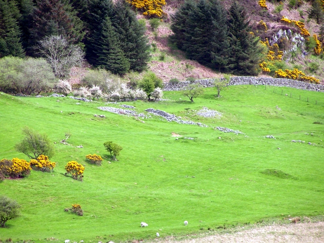 File:Remains of ancient settlement - geograph.org.uk - 1284850.jpg