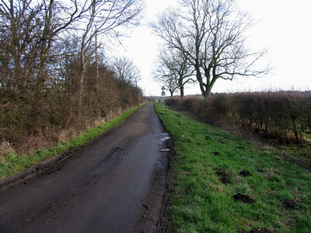 File:Route 6 towards Hallamford Road - geograph.org.uk - 323823.jpg