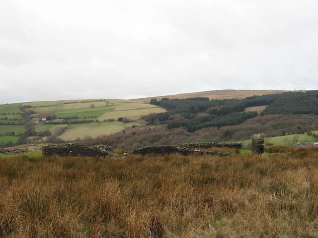 File:Ruins of old Fever Hospital - geograph.org.uk - 326126.jpg