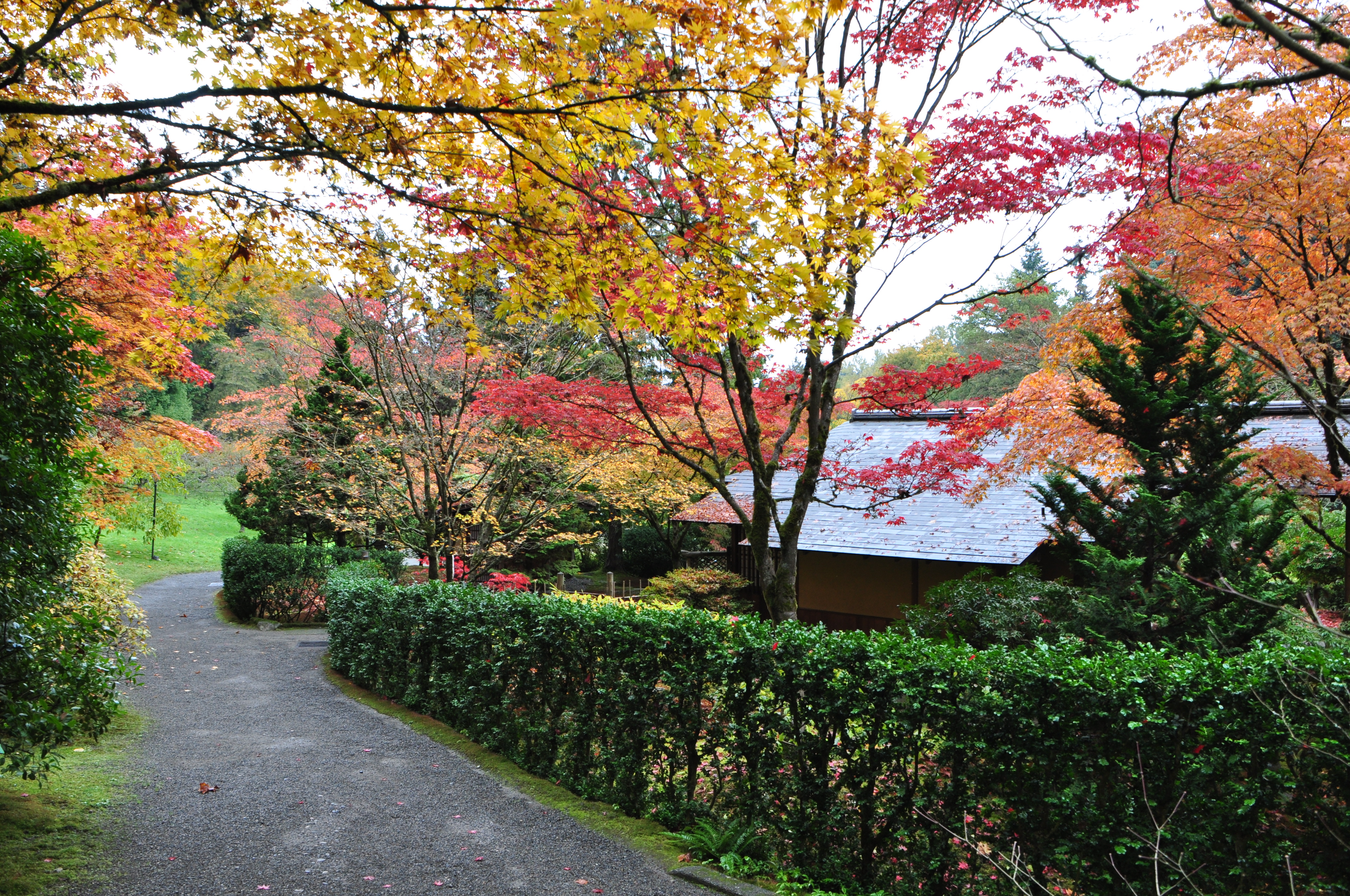Японский сад Kubota Сиэтл, Вашингтон