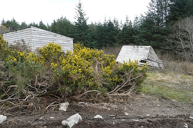 Su Con (Seecon) forest - geograph.org.uk - 1269453