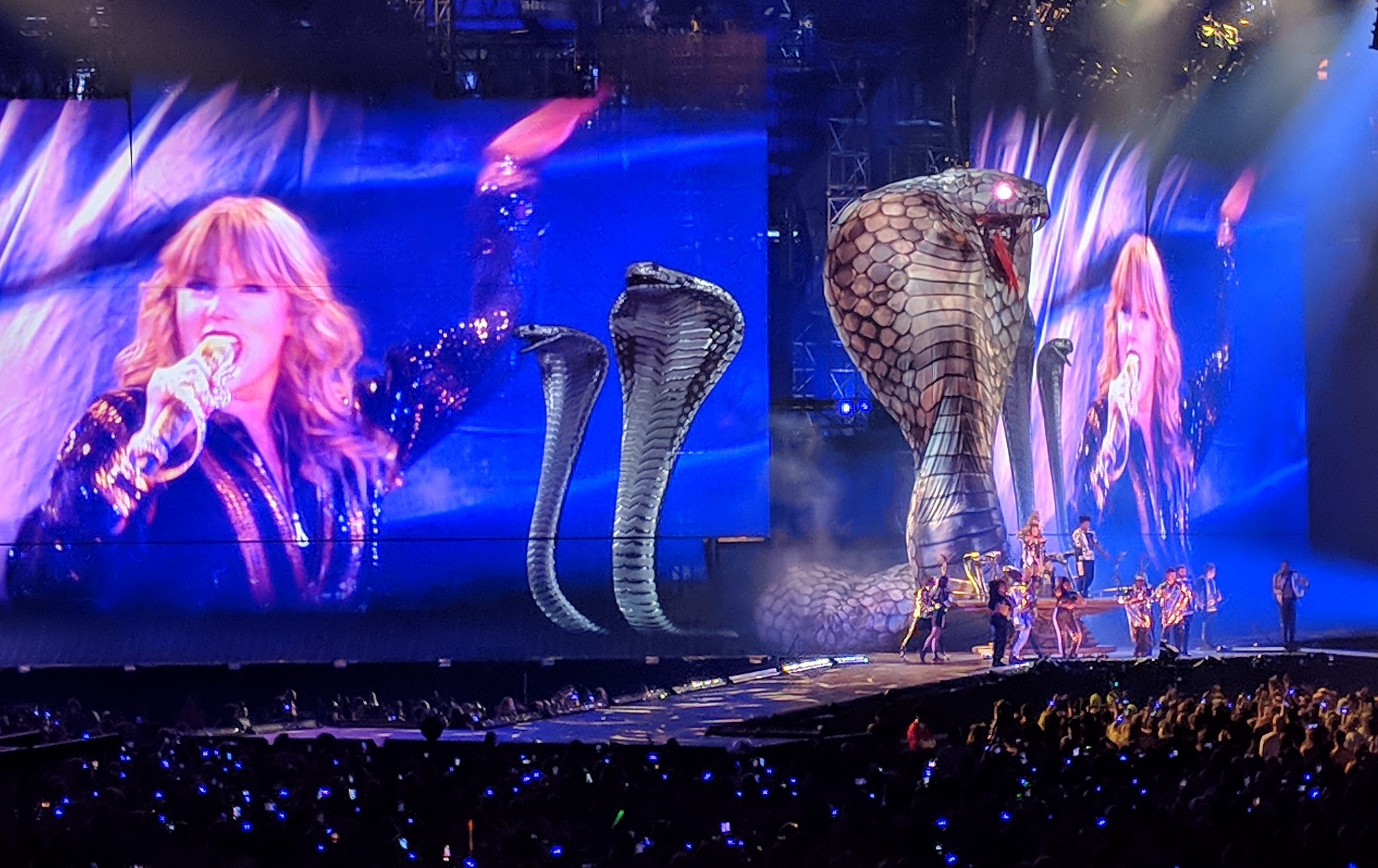 File:Taylor Swift - Reputation Tour Seattle - Dress (cropped).jpg -  Wikipedia