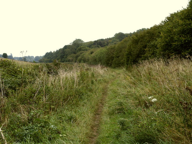 File:The bridleway to Wauldby Green - geograph.org.uk - 565058.jpg