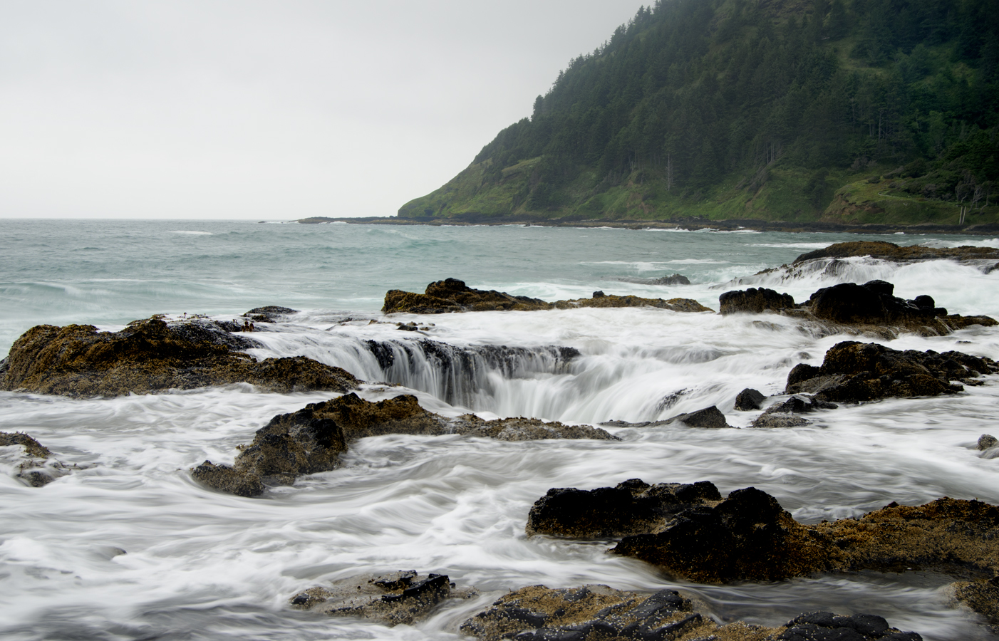 The Natural Marvels of Cape Perpetua