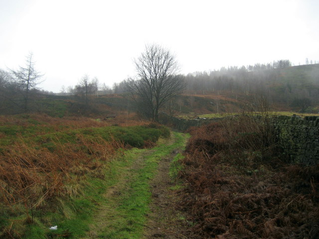 File:Track below Eastburn Crag - geograph.org.uk - 661254.jpg