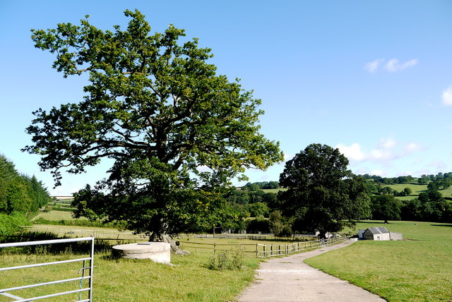 File:Track to Black Allers - geograph.org.uk - 4688584.jpg