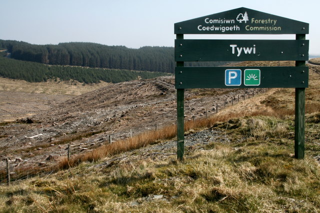 File:Tywi Forest - geograph.org.uk - 391558.jpg