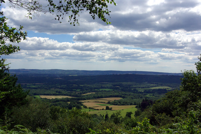 View south from Black Down - geograph.org.uk - 577278