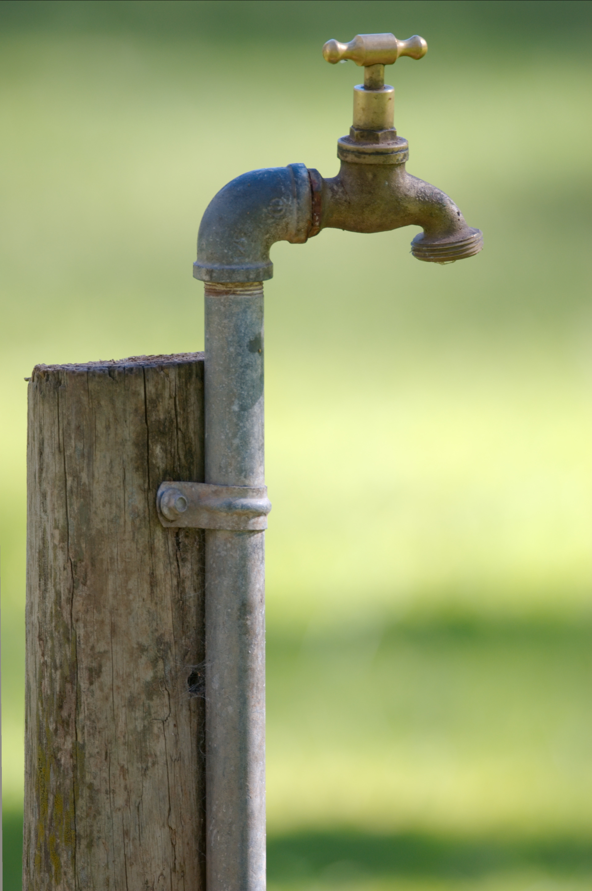 Watering tap