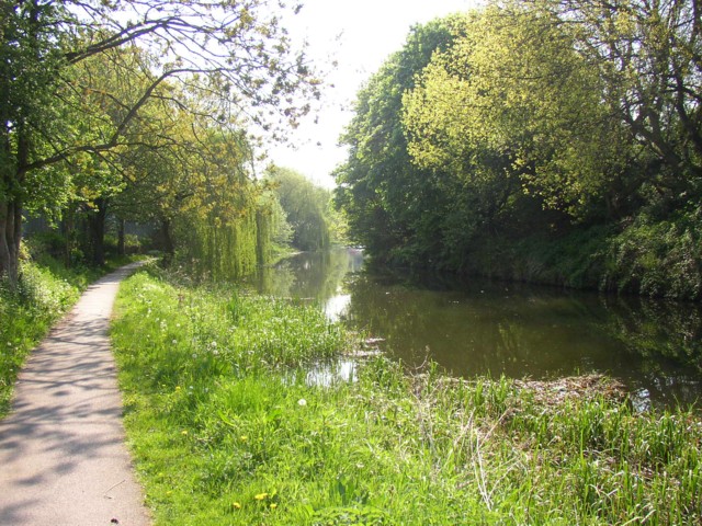 File:Weeping willows over the canal, Brighouse - geograph.org.uk - 170384.jpg