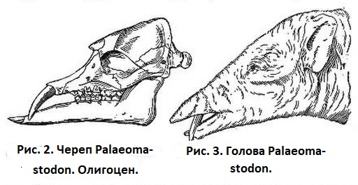 File:БСЭ1. Мастодонты 2.jpg