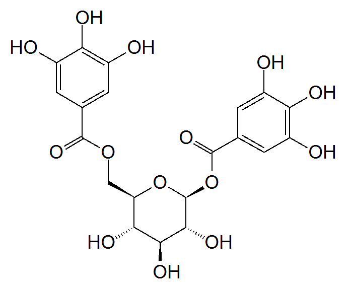 Glucose — Wikipédia