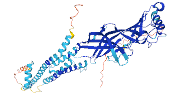 nicotinic acetylcholine receptor