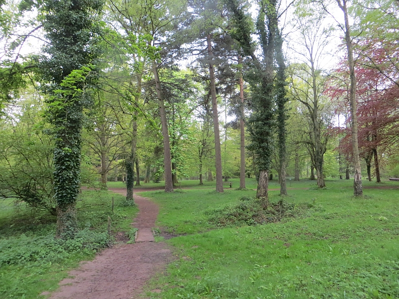 Arboretum, Dinmore Hill - geograph.org.uk - 4468370