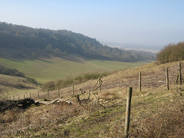 Aston Rowant NNR chalk grassland - geograph.org.uk - 696339