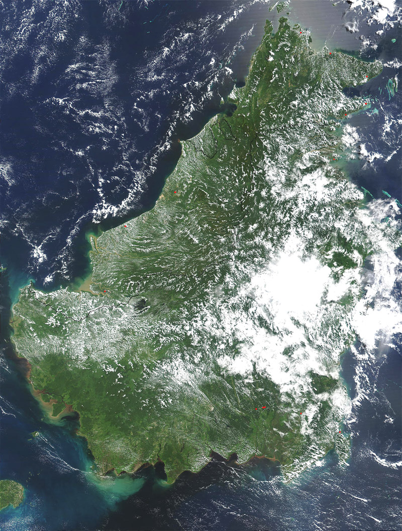 Borneo sat.jpg