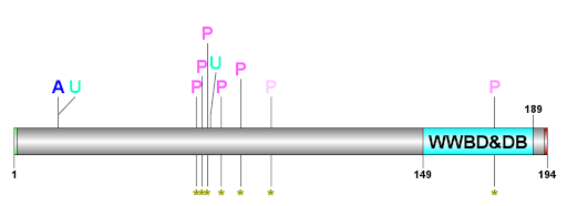 File:C9orf40 PTM Schematic.png