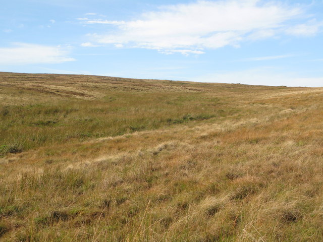 File:Cleugh of an un-named sike on Dykerow Fell - geograph.org.uk - 2130461.jpg