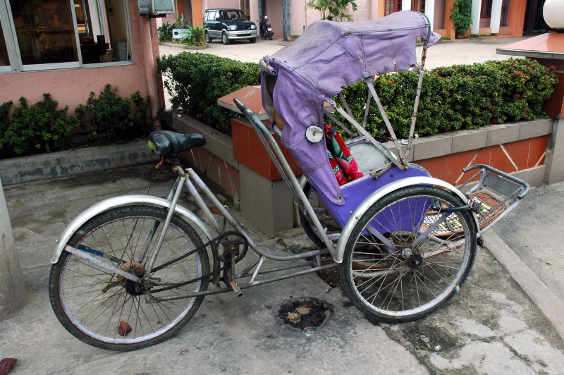 Cyclo Purple