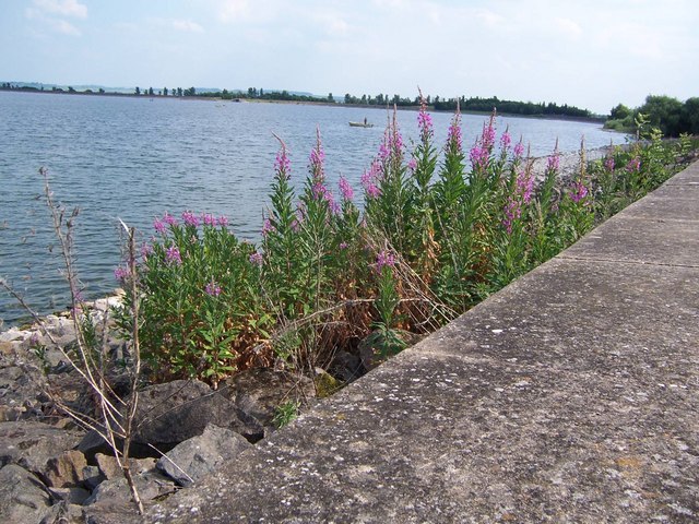 File:Draycote Water - geograph.org.uk - 347261.jpg