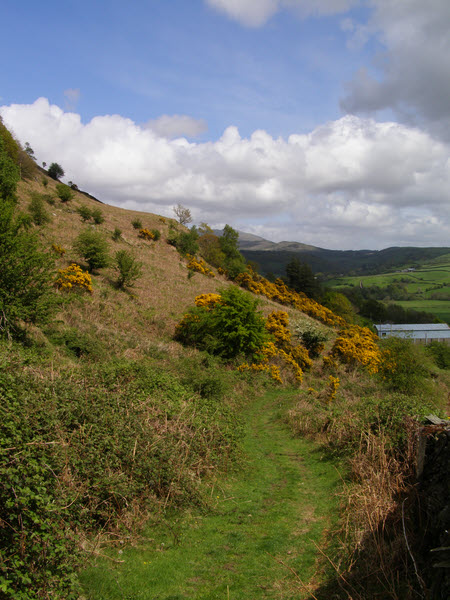 File:Footpath near Lower Bleansley - geograph.org.uk - 1281986.jpg