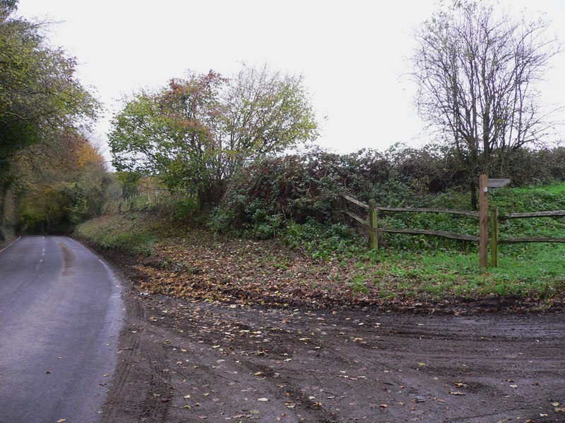 File:Footpath on drive at Nursted - geograph.org.uk - 2169276.jpg