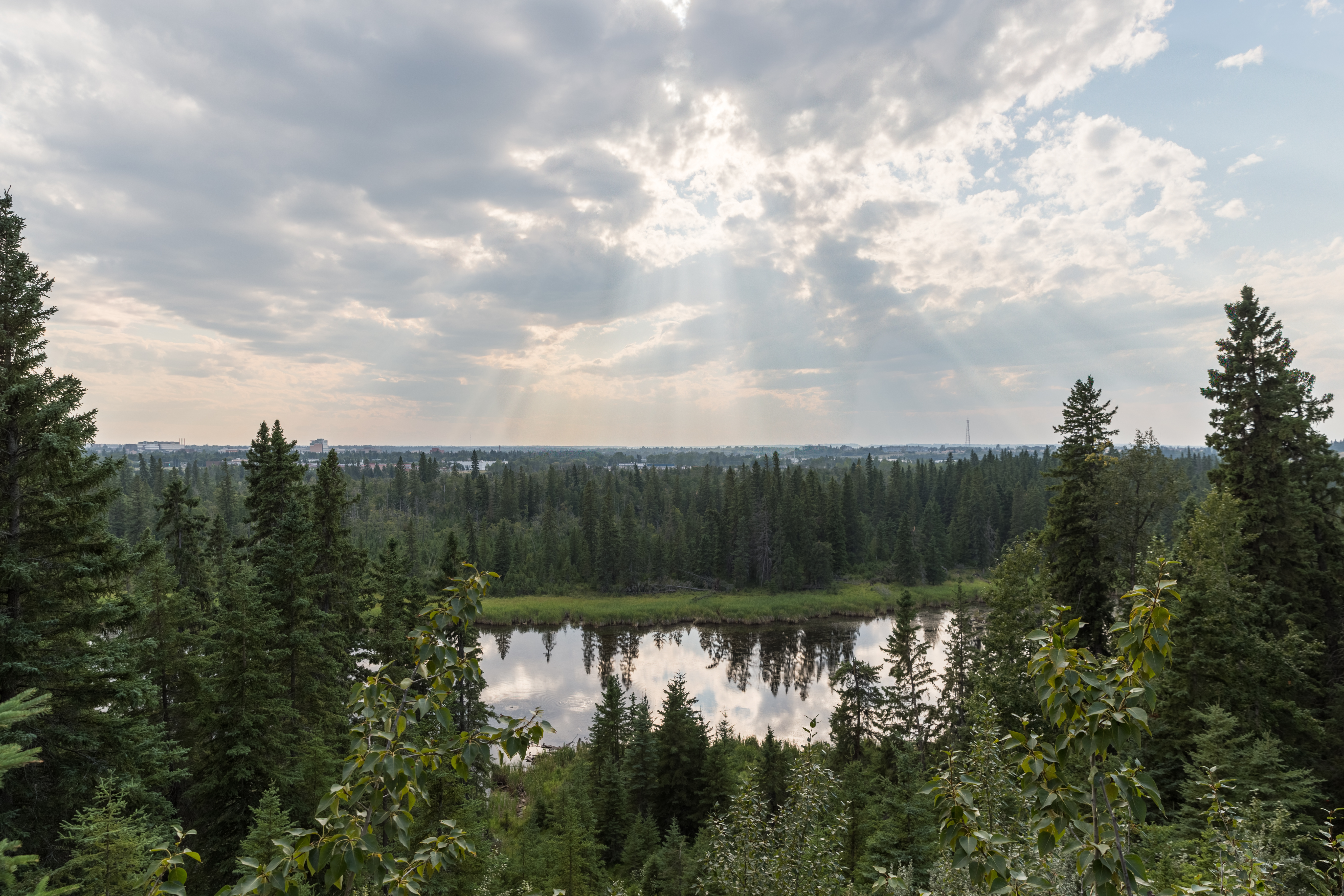 Edmonton Playgrounds - Kerry Wood Nature Centre