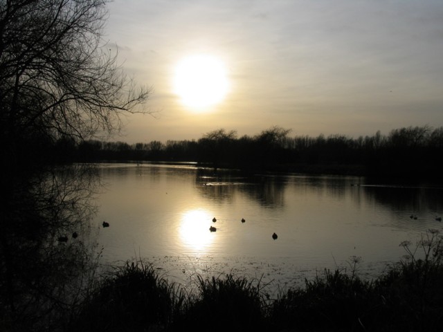 File:Late afternoon at Watermead - geograph.org.uk - 364049.jpg