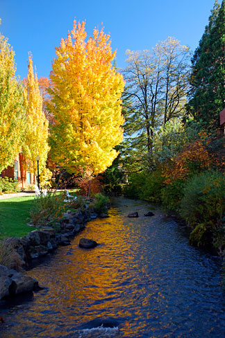 File:Mill Race (Marion County, Oregon scenic images) (marDA0061b).jpg