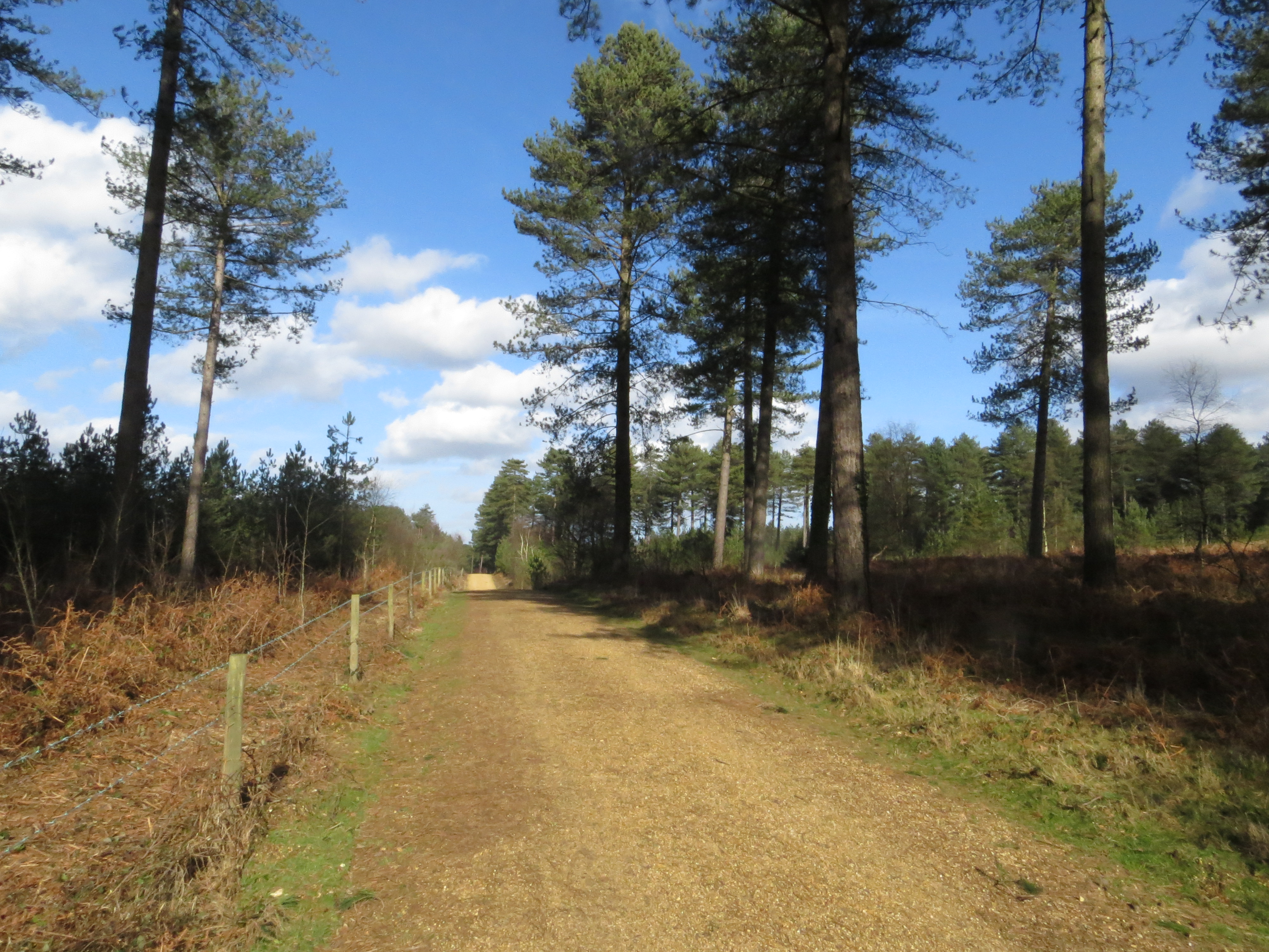 Moors Valley Country Park